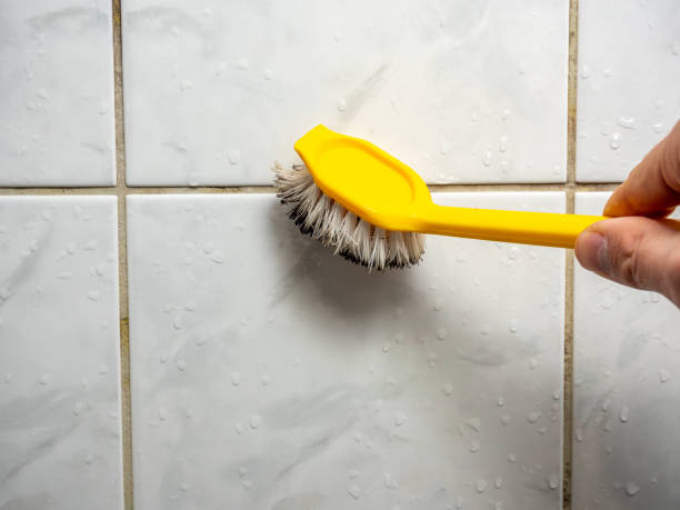 Best Residential Mold Remediation in Lanham, MD