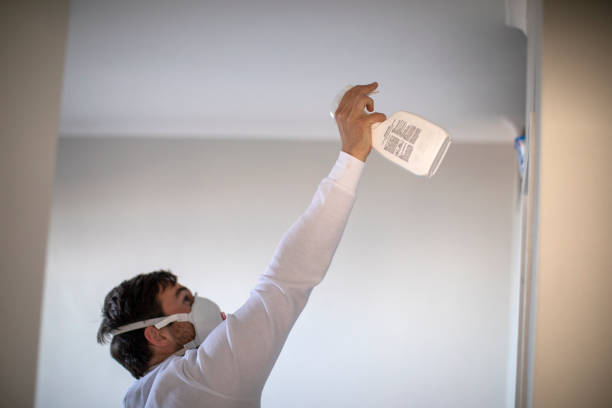 Best Attic Mold Remediation in Lanham, MD