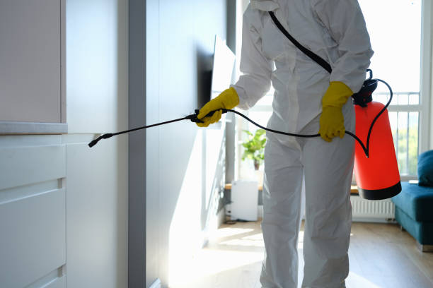 Best Commercial Mold Remediation in Lanham, MD